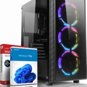 Shinobee Gaming PC AMD Ryzen 5 3500X 6 Cores 4.10 GHz – Geforce GTX 750 4 GB DDR5 – Windows 11 – 16 GB DDR4-512 GB NVME SSD – WLAN – Gamer PC Computer Gaming Computer #8165